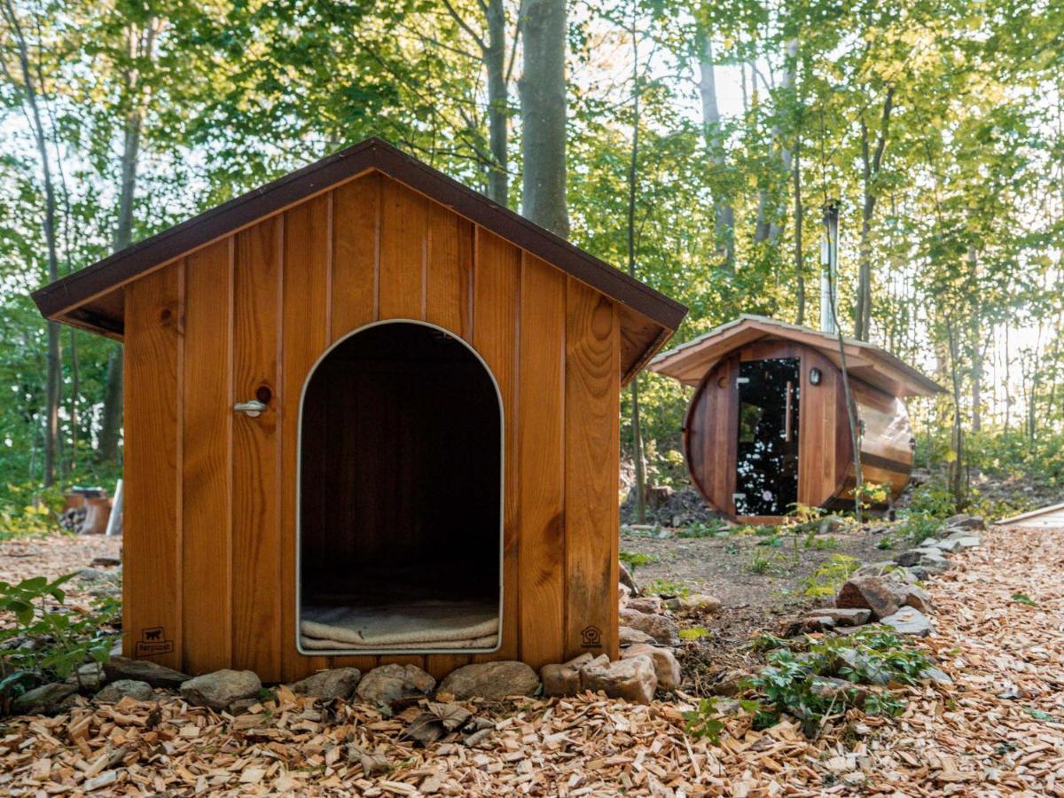Treehouses Sněžník Dolní Morava Exterior foto